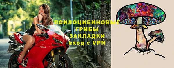 амф Абдулино