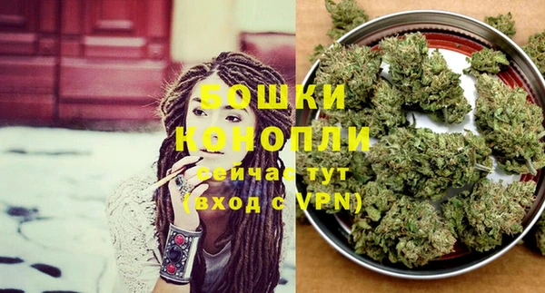 гидропоника Алзамай